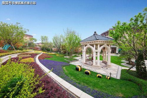 免费大片在线观看网站,尽在在线观影天堂 第3张 免费大片在线观看网站,尽在在线观影天堂 第3张